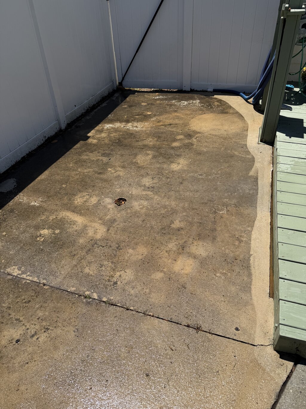 Concrete surface before soft washing — stained and algae-covered