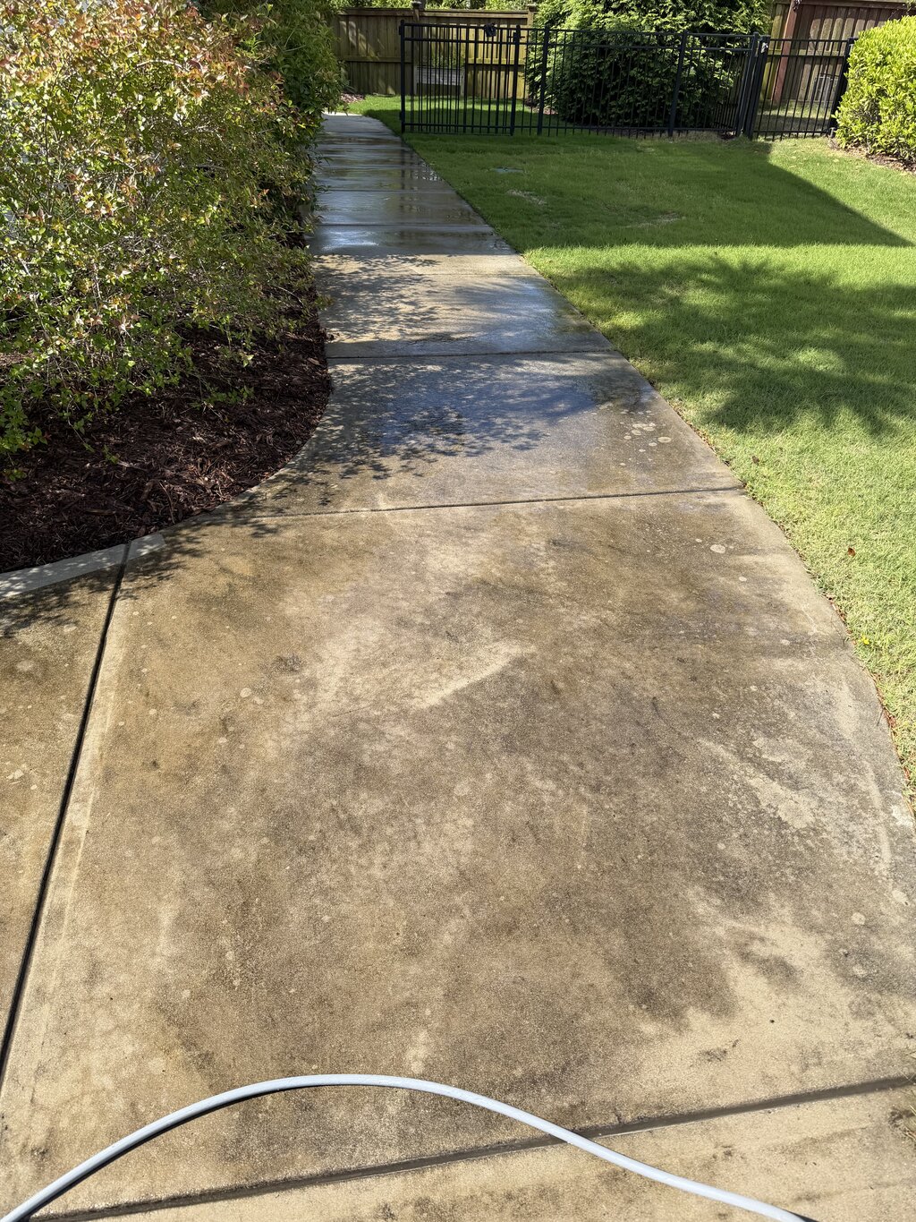 Footpath before soft washing — slippery algae and discoloration