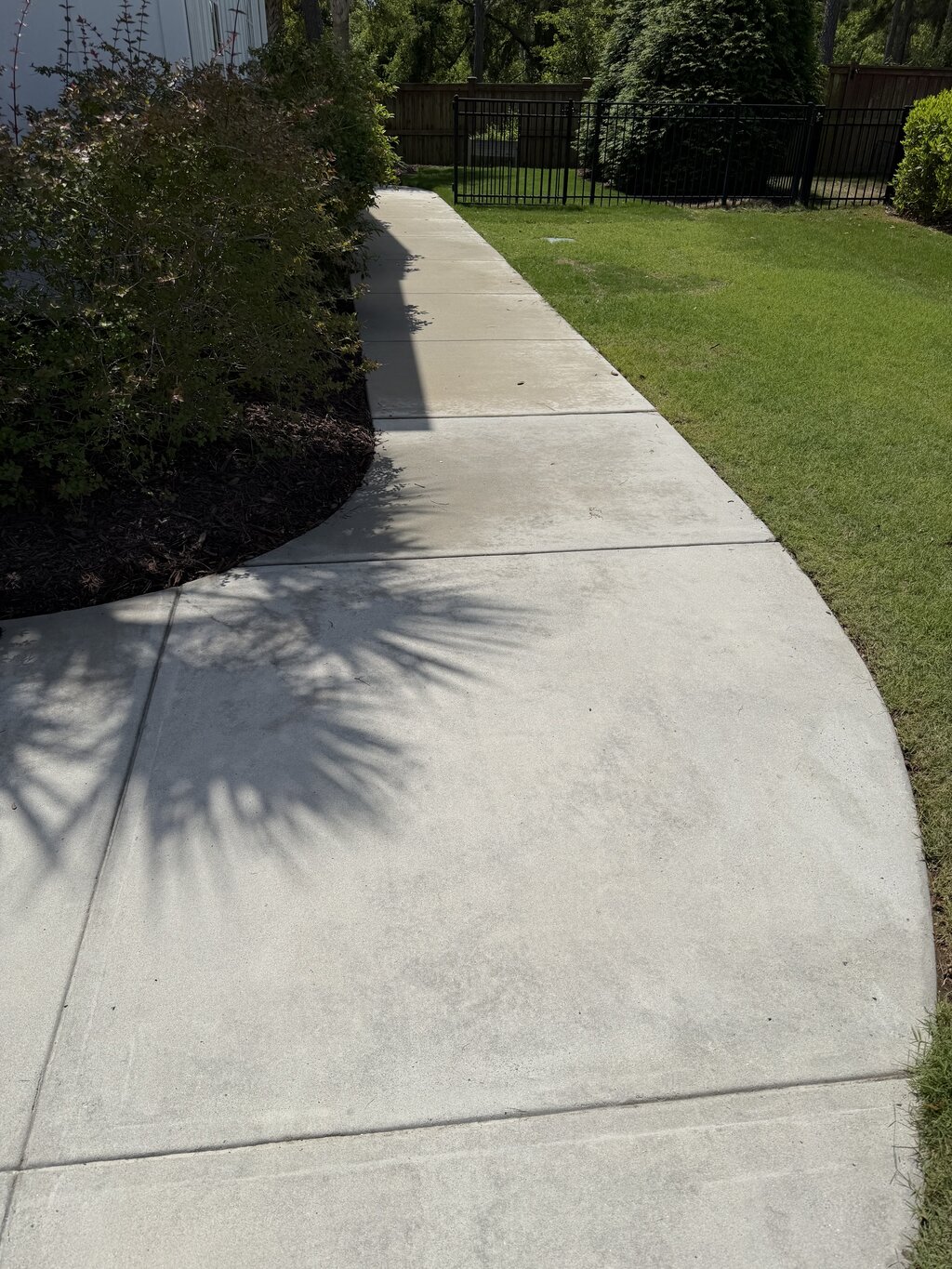 Footpath after soft washing — clean and safe to walk