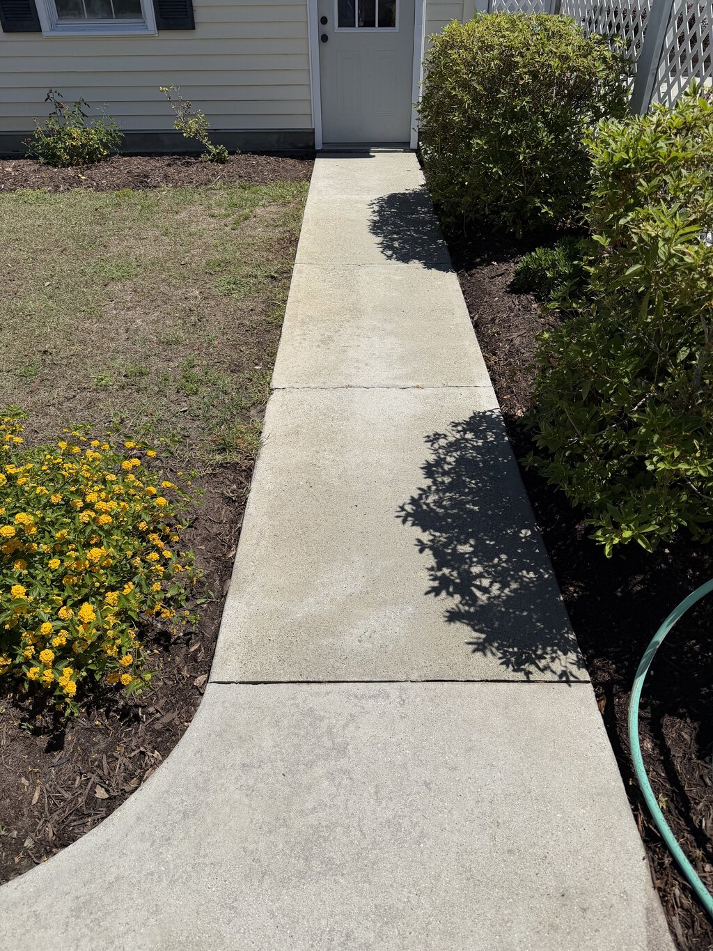 Walkway after soft washing — clean bright concrete