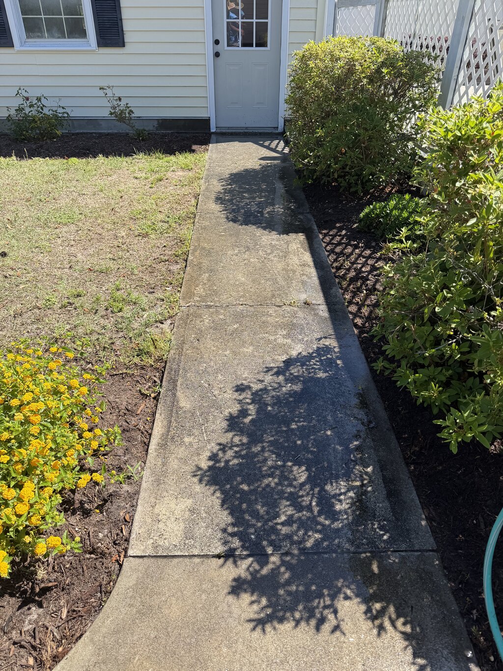 Walkway before soft washing — heavily stained concrete