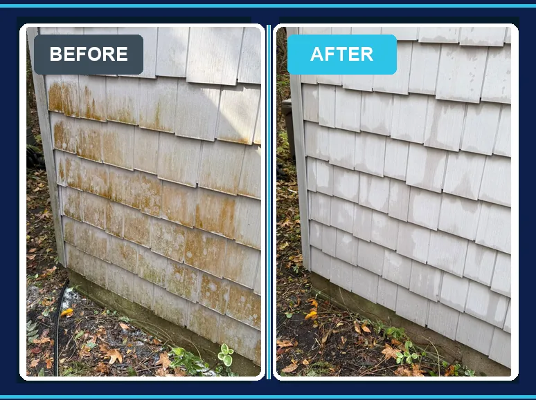 Siding soft washing before and after