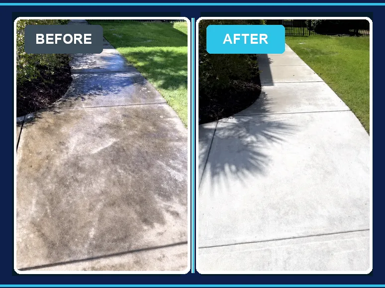 Driveway soft washing before and after